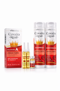 Kit Bomba Cavalo Real